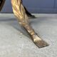 Vintage gilt metal flower side table, 1960s
