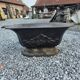 Antique cast iron planter