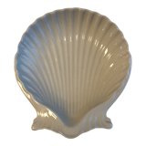 Empty pocket scallop shell