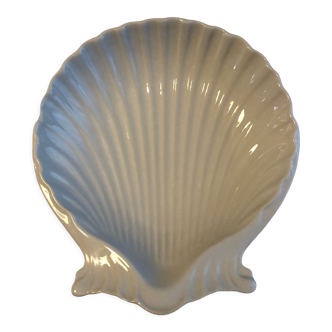 Empty pocket scallop shell