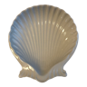 Empty pocket scallop shell