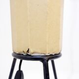 Lugano floor lamp by H. Klingele for Artimeta Holland, 1957