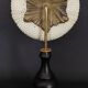 Cabinet of Curiosities sea urchin astropyga radiata on base