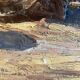 Old painting, Marine, the Riviera , signed 50/60