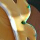 Old lemon-shaped cheese dish, vintage yellow ceramic brass handle 70s