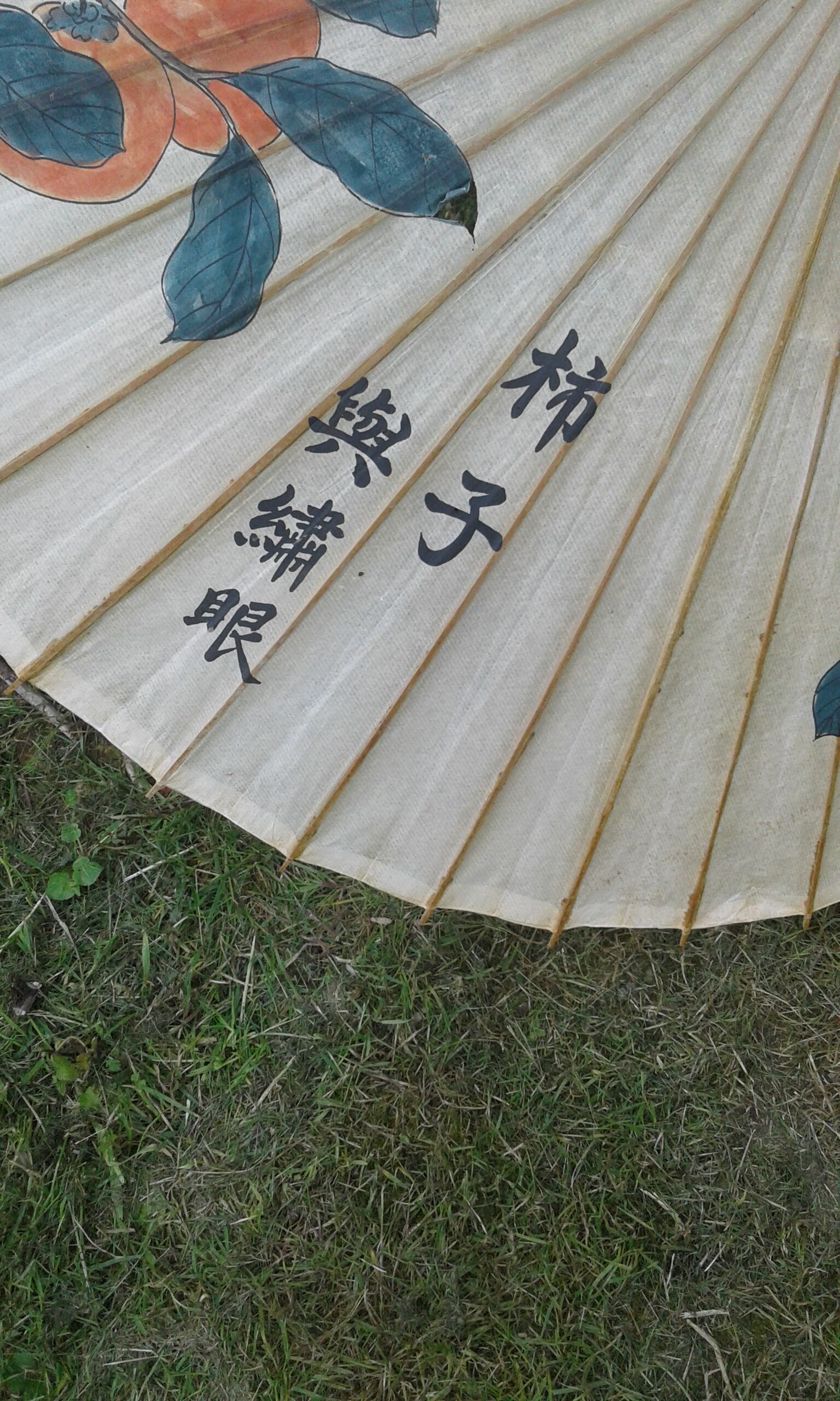 Asian umbrella