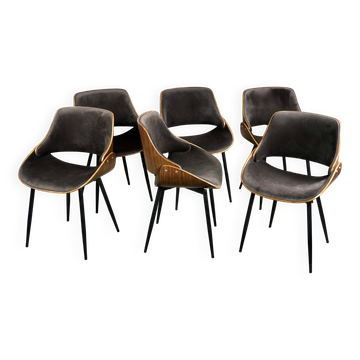 Scandinavian chairs (set of 6) in wood and velvet from the 2000s.