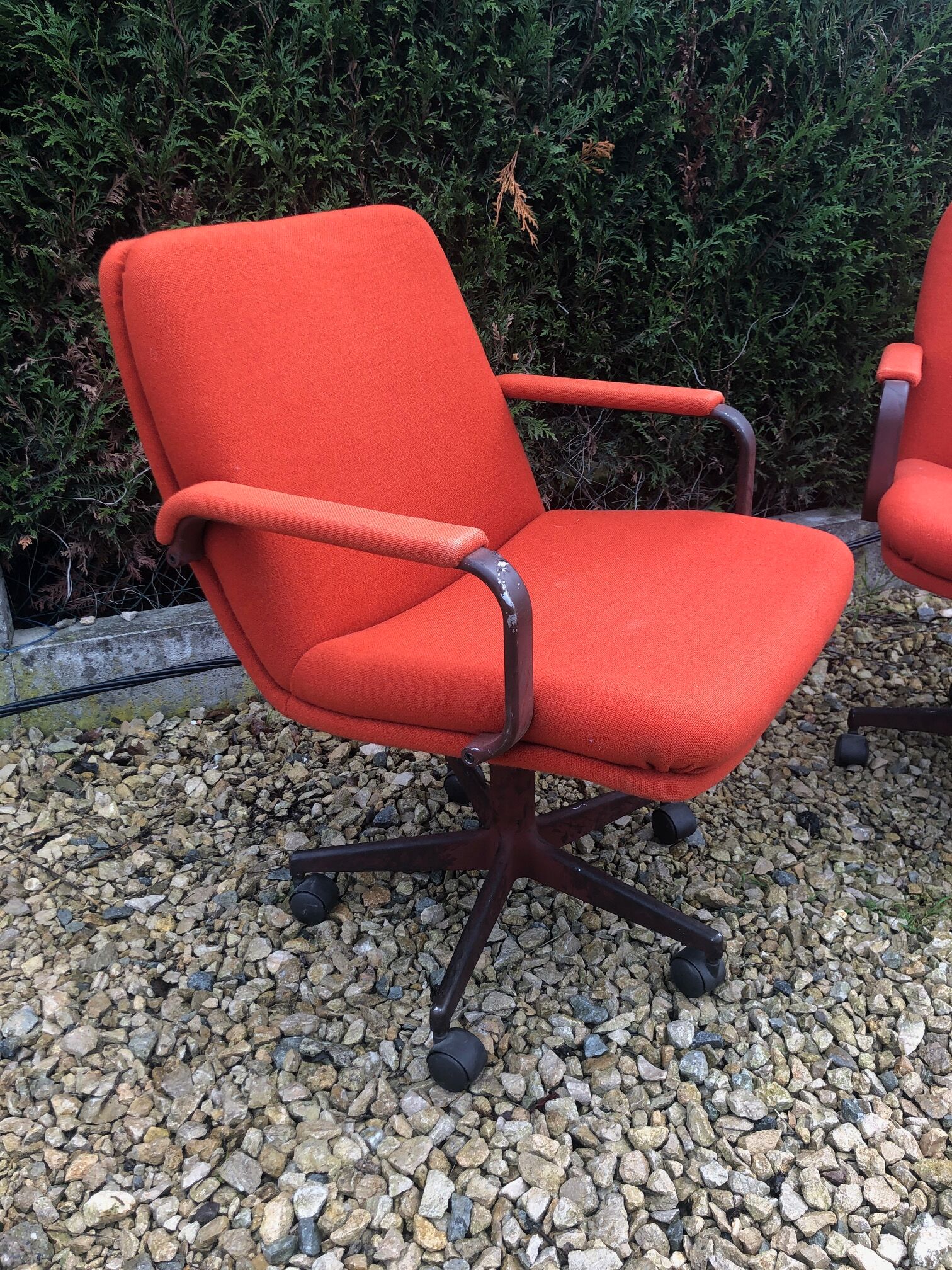 Pair of armchairs by Harcourt Geoffrey for Artifort