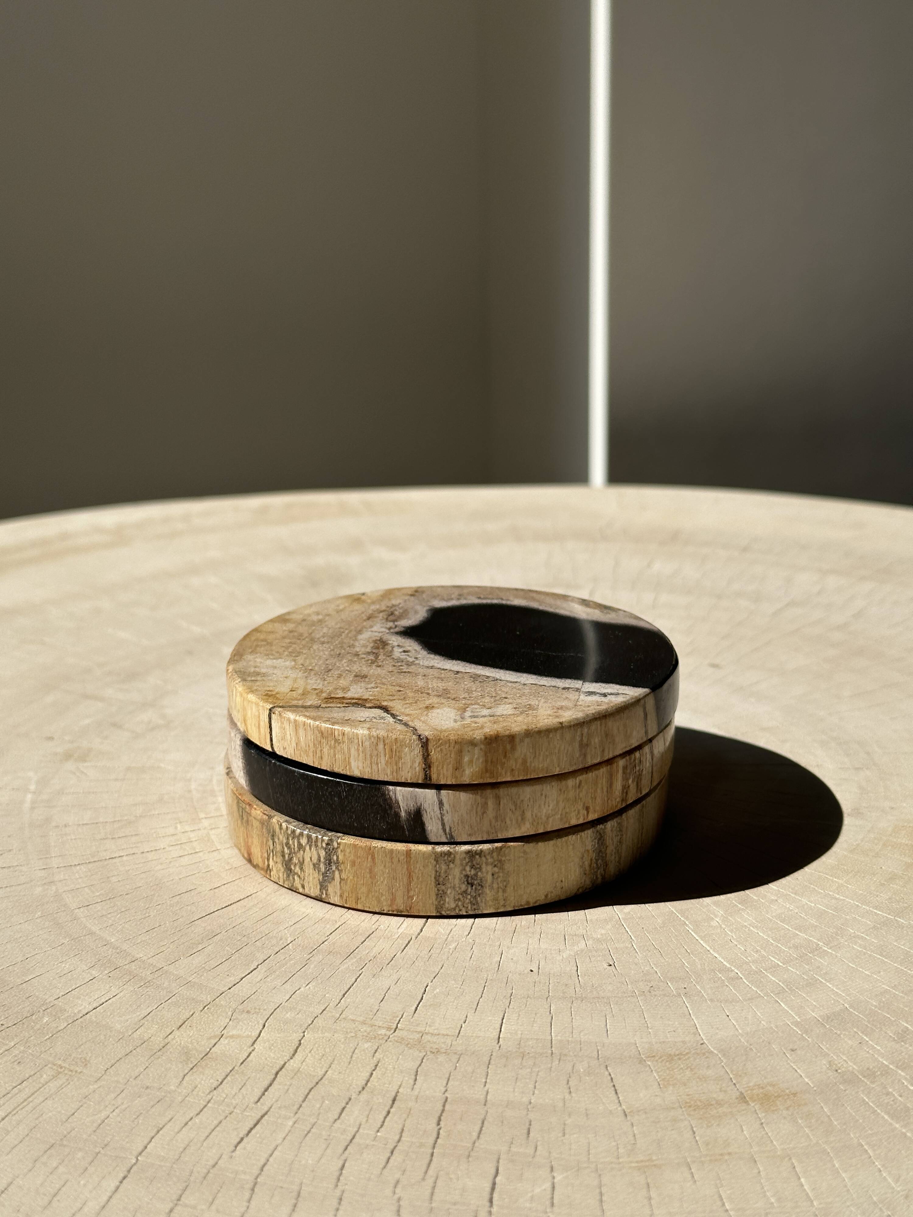 Set of 3 fossilized wood coasters (clear)