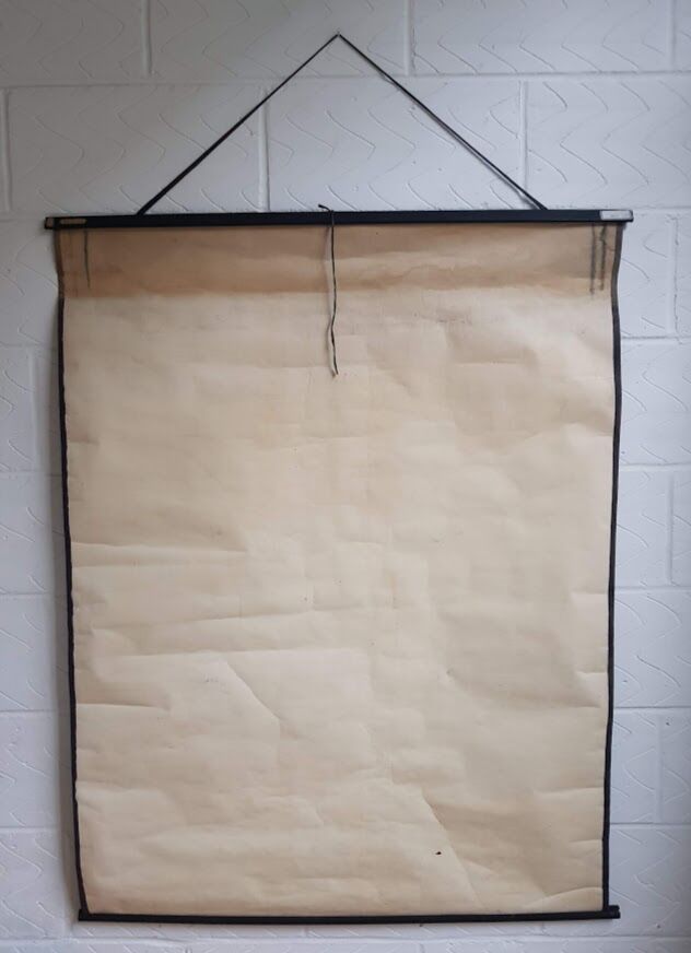 Vintage school poster by Paul Sougy - Le Pin, 1952