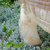 Cement donkey planter