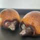 Pair of vintage ceramic hedgehogs