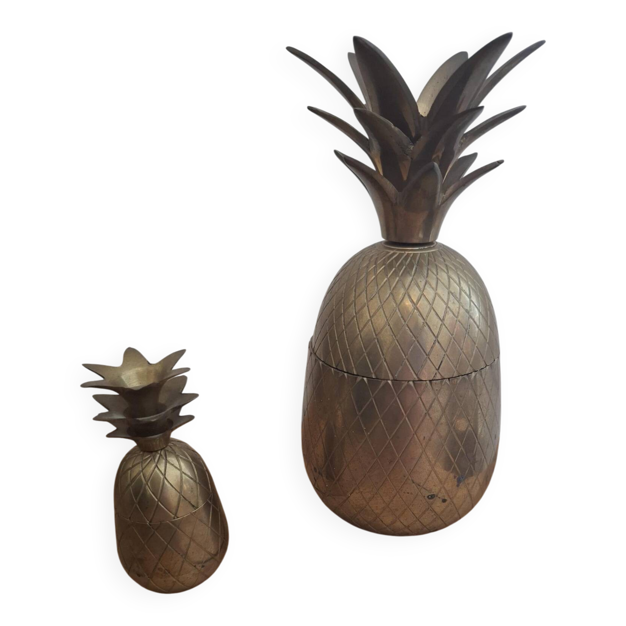 Pineapple buckets duo