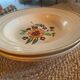 Lot de 10 assiettes plates et 3 creuses Bosh La Louviere