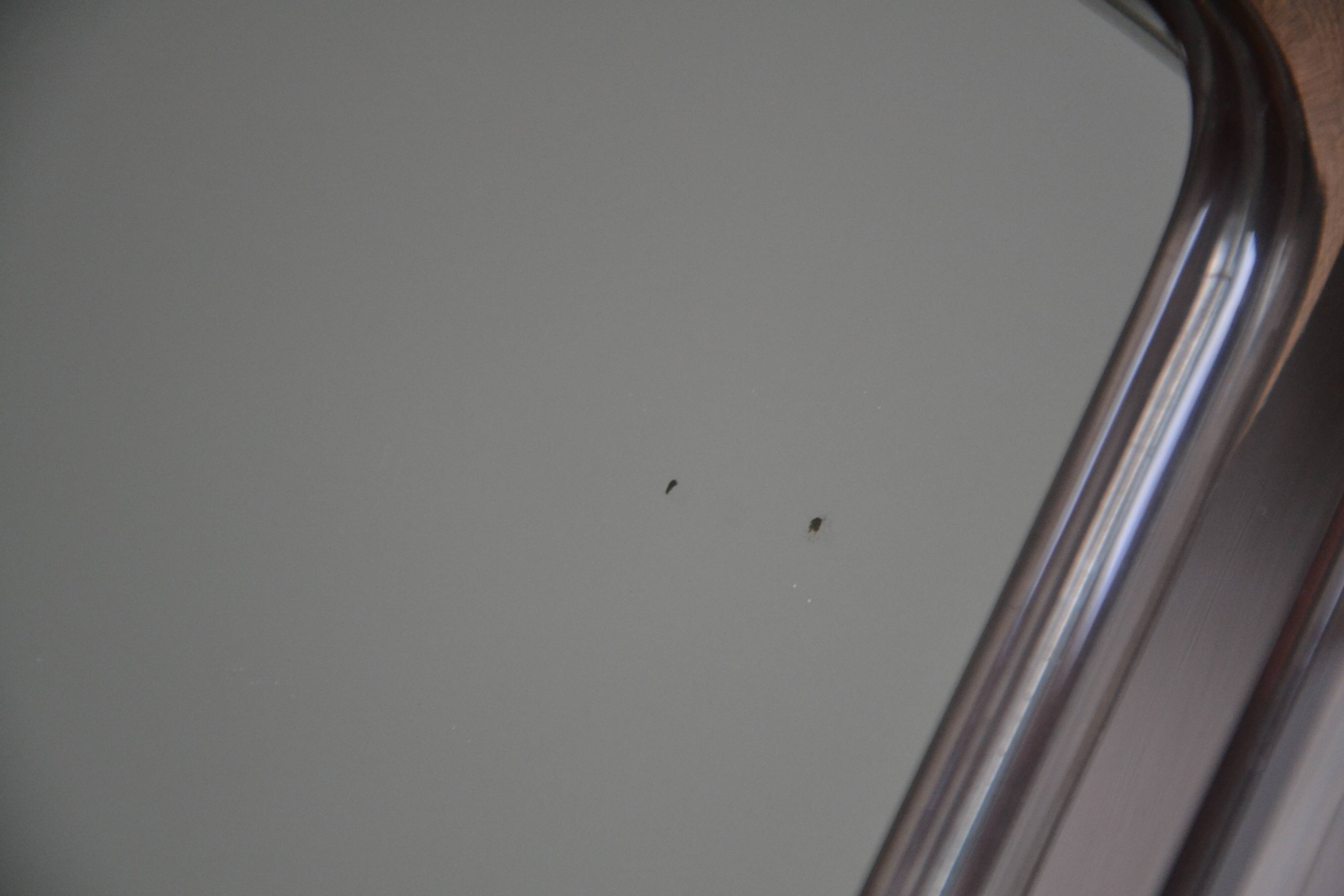 Miroir pivotant Grosfillex, années 60-70