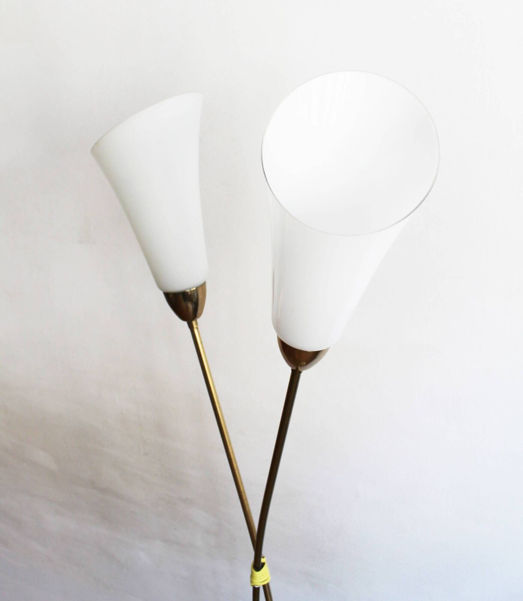 Sculptural Czech Floor Lamp with Twin Milk Glass Shades, 1960s