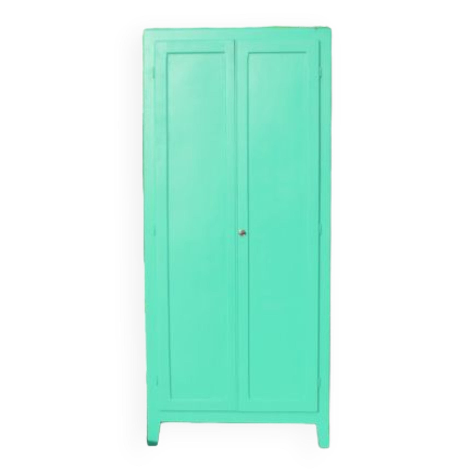 Renovated Parisian wardrobe