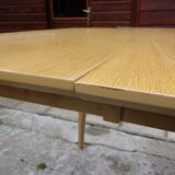 Extendable Scandinavian table