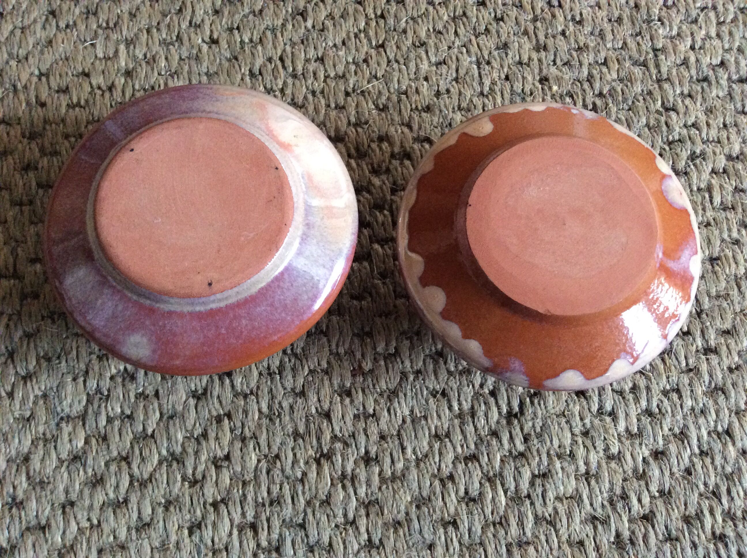 Series of 2 cockroats