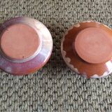 Series of 2 cockroats
