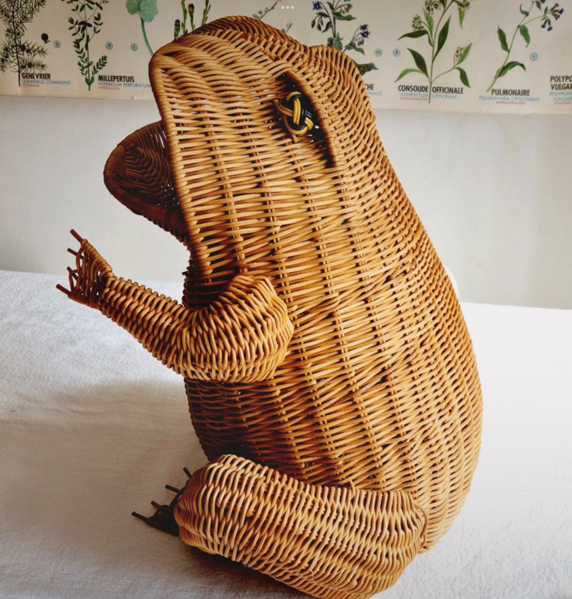 Wicker frog magazine holder Olivier Cajan