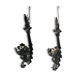 Pair of wrought iron appliques