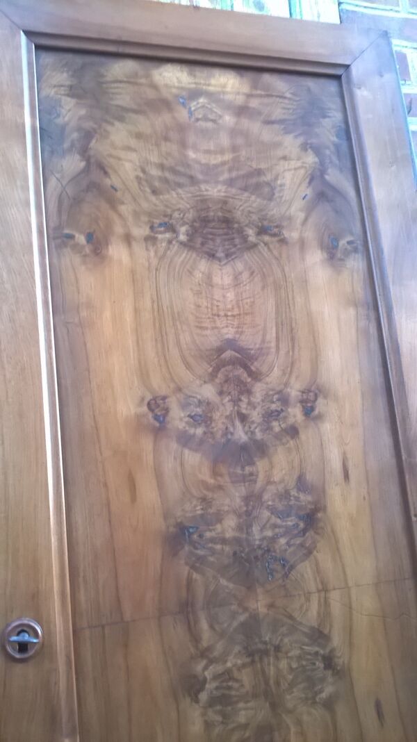 Ancienne paire de portes armoire
