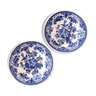 Duo of plates Villeroy - Bosh