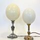 Ostrich egg lamp on a brass stand, antique curiosity cabinet.