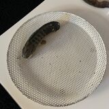White open metal tray