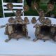 Paire de chandeliers en bronze