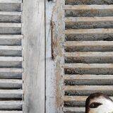 Pair of shutters