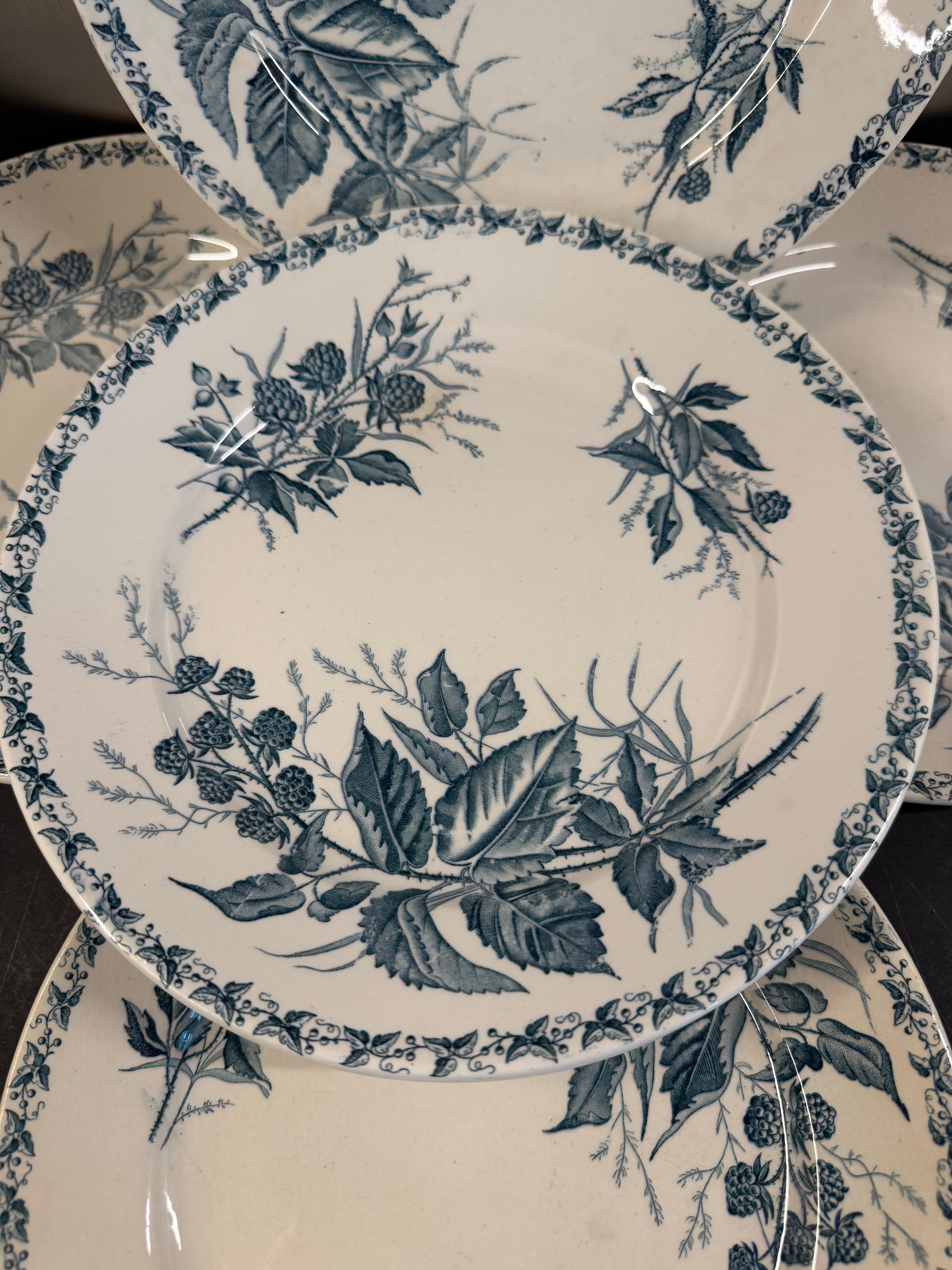 7 deep plates in ironstone "Mûre" Badonviller