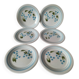 6 assiettes à dessert vintage Quadrifoglio italiennes décor myosotis