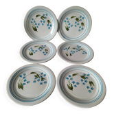 6 vintage Italian Quadrifoglio dessert plates with forget-me-not decoration.