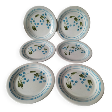 6 vintage Italian Quadrifoglio dessert plates with forget-me-not decoration.