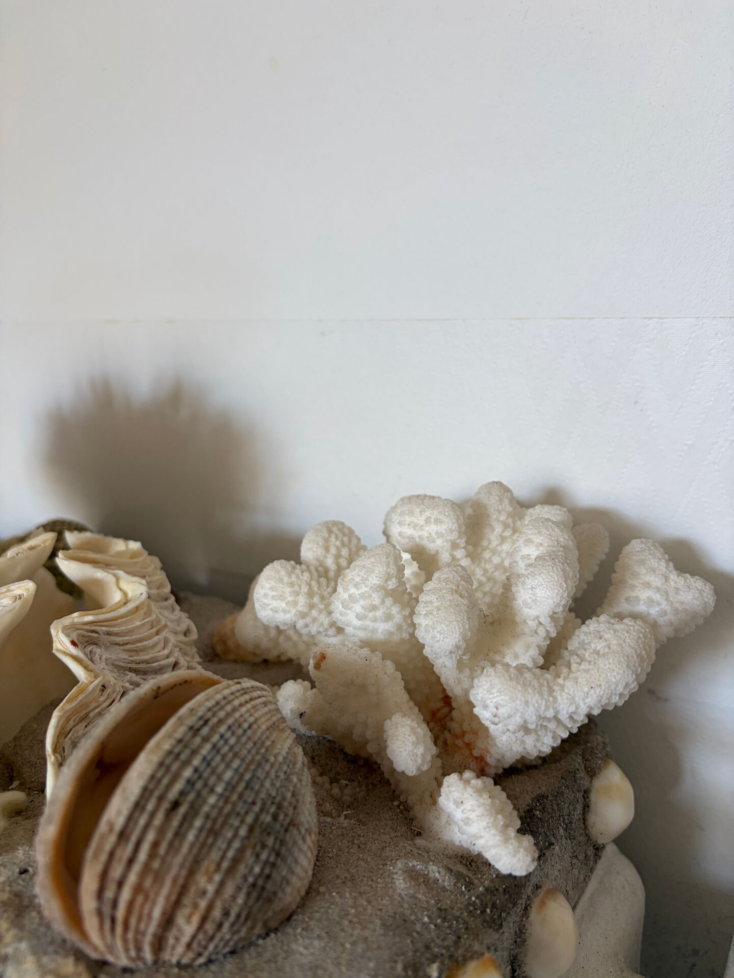 Marine composition