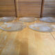 Plate + 5 ARCOROC Fish Shape Glass Mould Plates + Vintage Box #