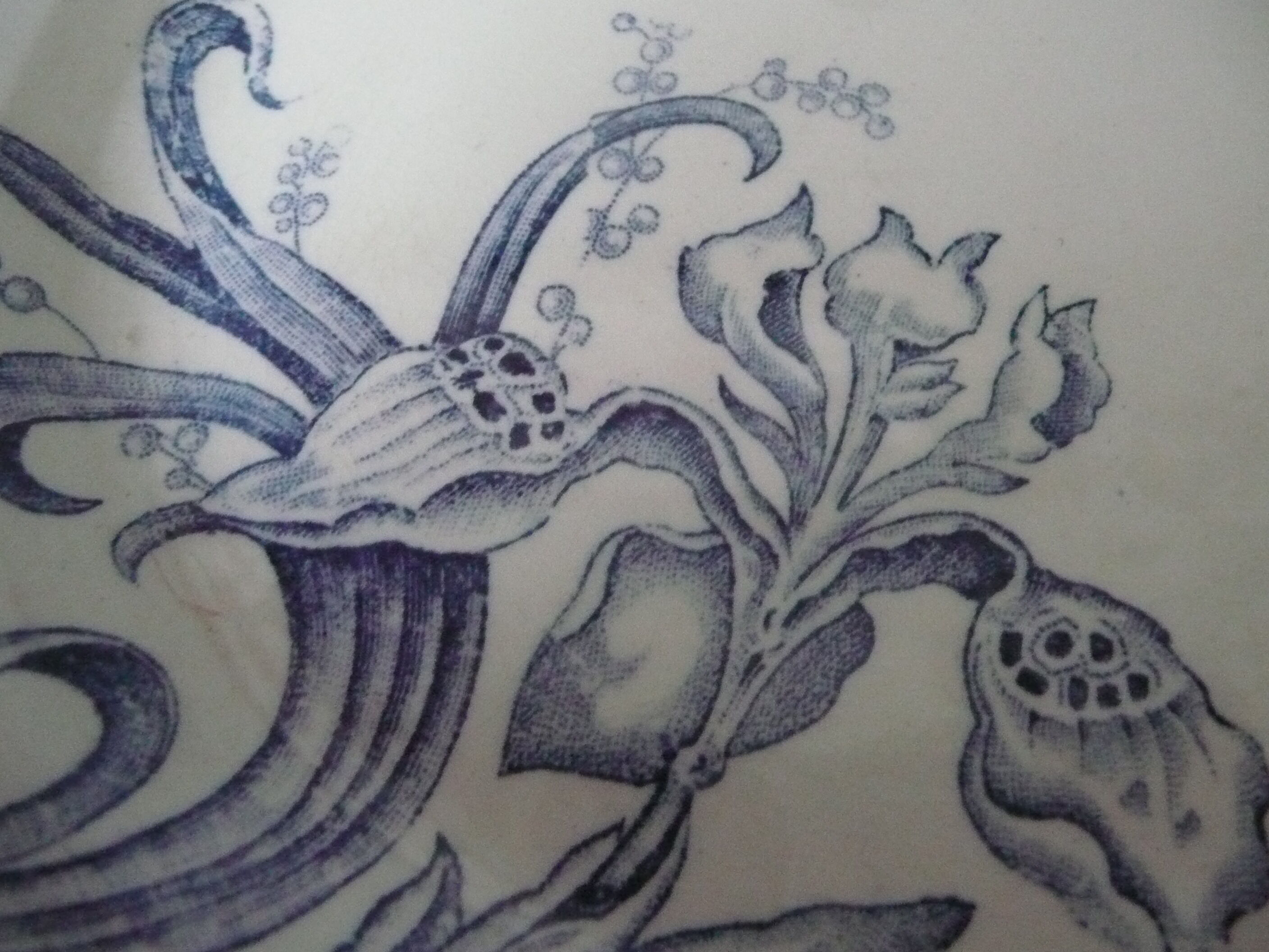 Former Compote low foot