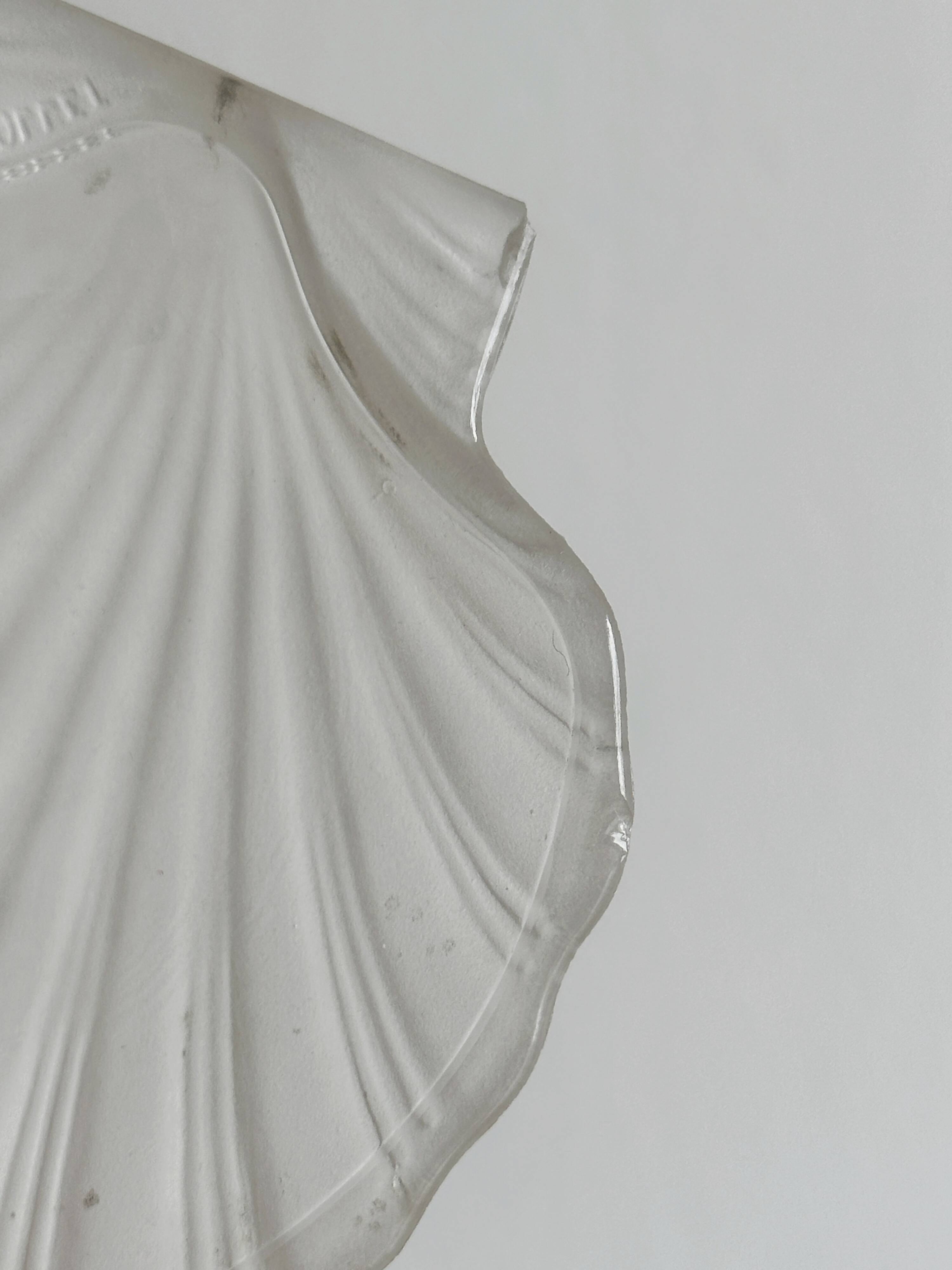 shell box in silver metal and worked glass