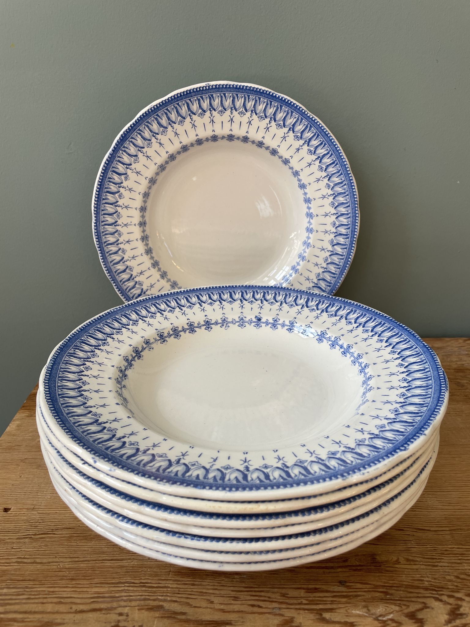 Service of 8 hollow plates Flora Rocaille Creil and Montereau