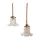 2 suspensions tulipes en verre