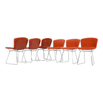 Ensemble de 6 Chaises par Harry Bertoia pour Knoll, années 1960