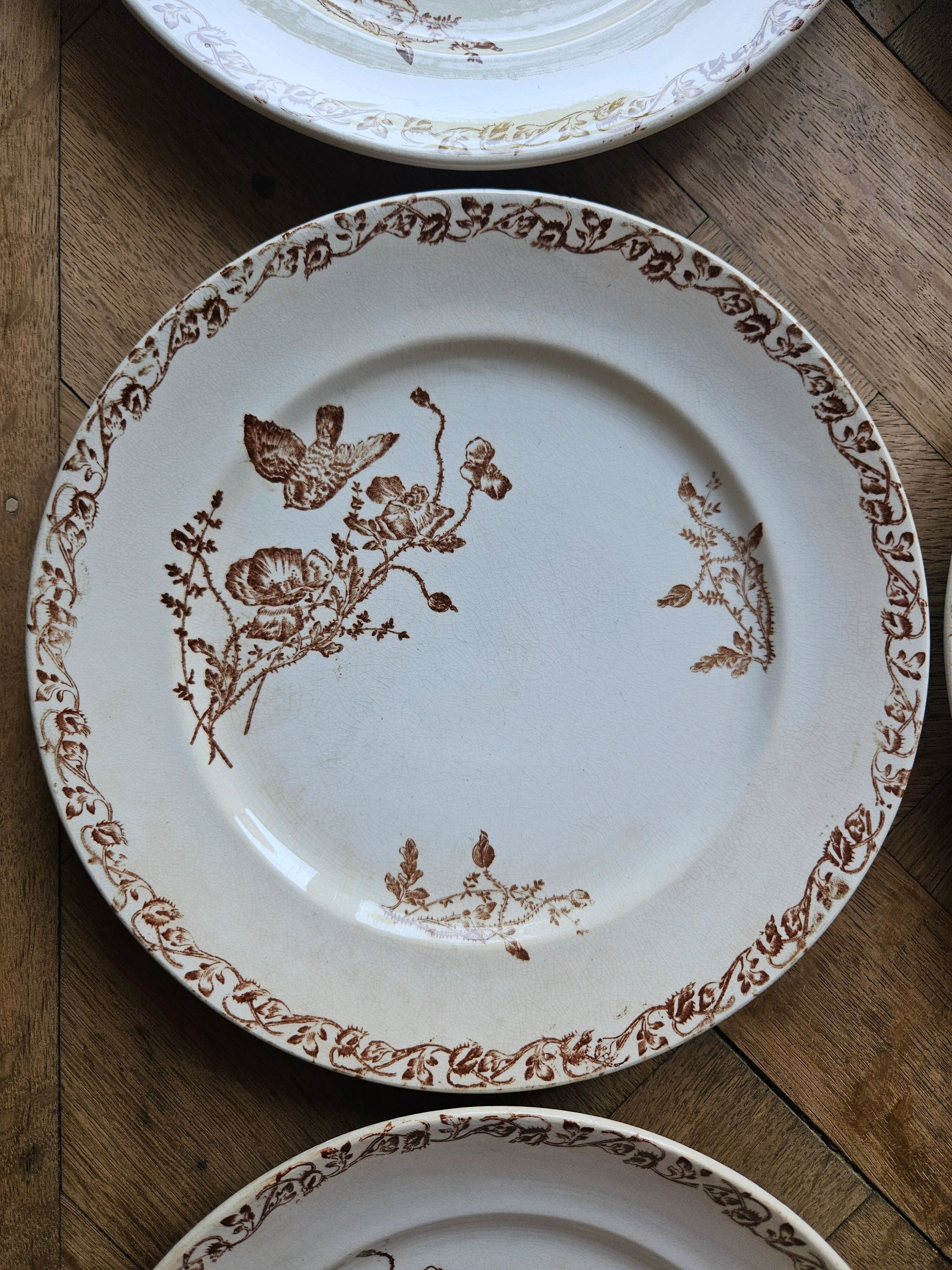 Flat plates, ironstone, poppies