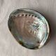 Polished abalone shell, catch-all or decorative object.