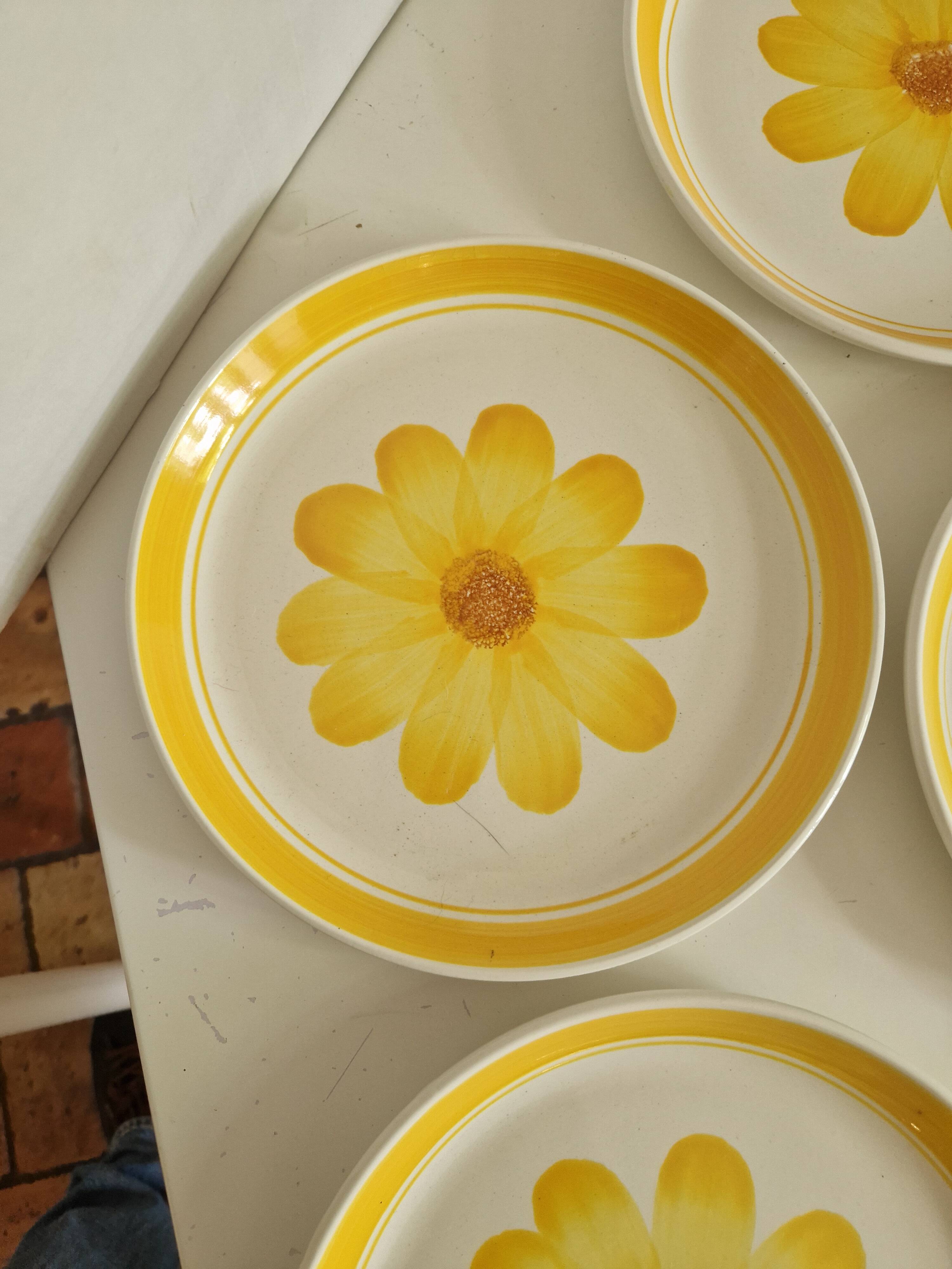 Set of 10 Flat Plates Sarreguemines Model Roseline