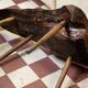 Wooden coffee table