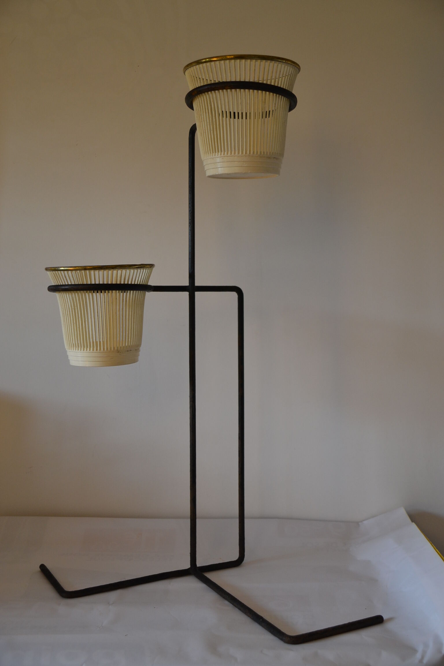 Plants rack in black iron of the 50s 60s