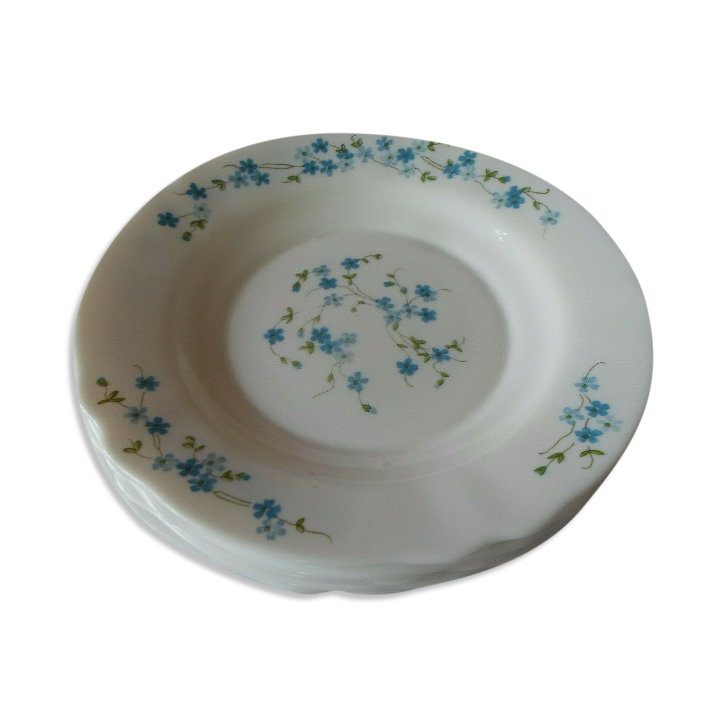 6 plates Veronica hollow blue flowers myosotis arcopal