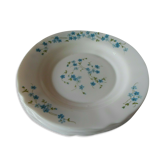 6 plates Veronica hollow blue flowers myosotis arcopal